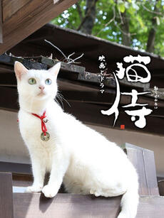 猫侍 第一季