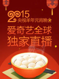 央视2015元宵晚会