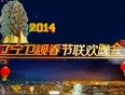 辽宁卫视2014春晚