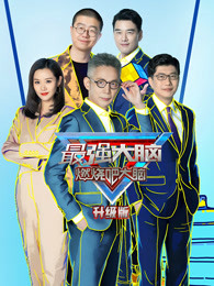 最强大脑 第八季升级版