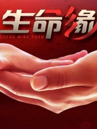 生命缘第三季