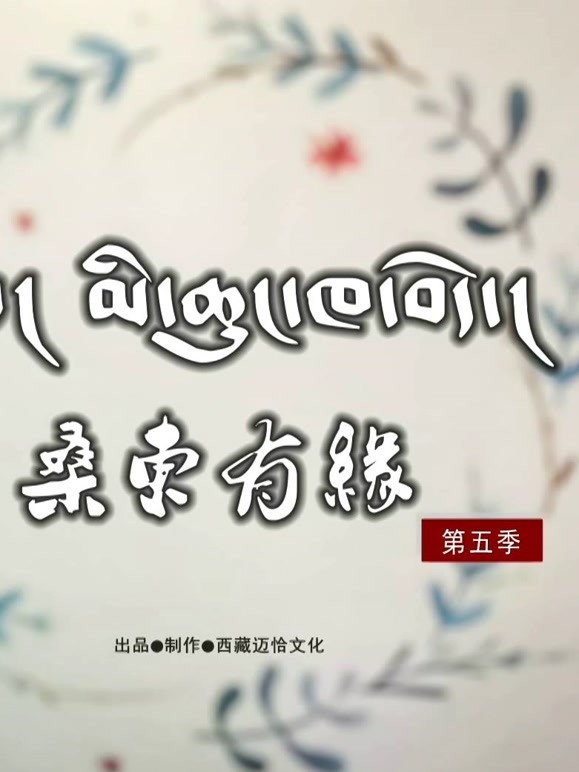 《桑东有缘》第五季